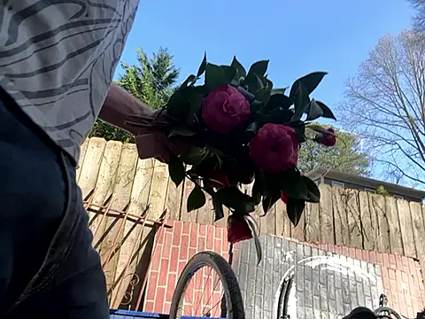 Snapshot of trash4cash chatting on 7, 3, 2025 trash4cash online show from 7, 3, 2025