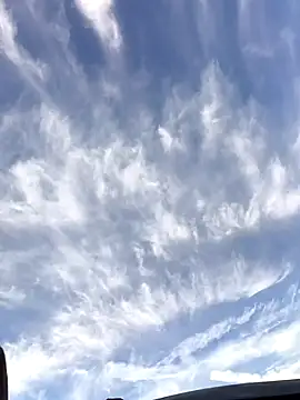 FloppyPickle4u online show from 19, 1, 2026