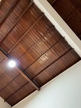 emiss  online show from 1, 2, 2026