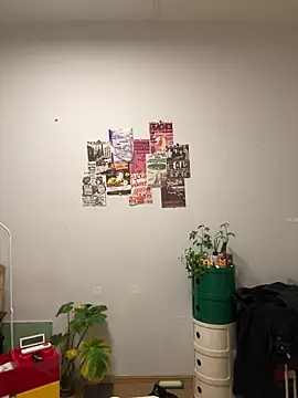 Eric246 online show from 1, 4, 2026