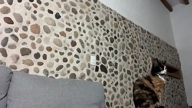 Snapshot of David_Brown18 chatting on 1, 10, 2025 David Brown18 online show from 1, 10, 2025