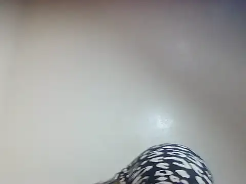 Snapshot of Creamy_candy17 chatting on 3, 10, 2025 Creamy candy17 online show from 3, 10, 2025