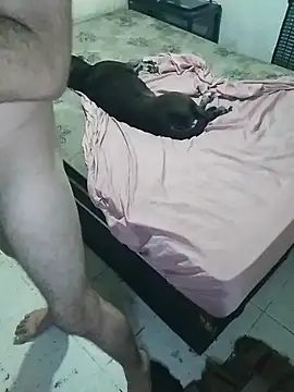 Snapshot of pikalindaxx chatting on 20, 2, 2026 pikalindaxx online show from 20, 2, 2026