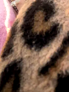 casalinga88 online show from 7, 11, 2025