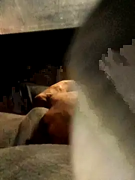 xWhoreAbleX Pika online show from 6, 3, 2025