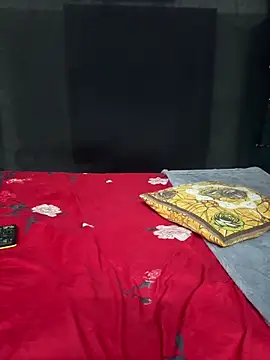 Magical-Couple-telugu online show from 25, 10, 2025