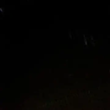 Gifttheskimaskboy online show from 12, 2, 2026