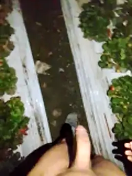 Snapshot of dfff125ff chatting on 13, 11, 2025 dfff125ff online show from 13, 11, 2025