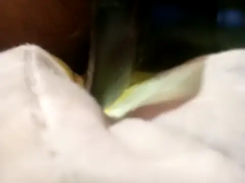 Snapshot of Pcsammy73 chatting on 26, 11, 2025 Pcsammy73 online show from 26, 11, 2025