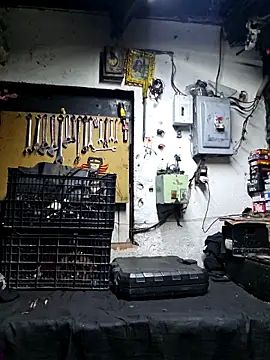 pene latinoriico online show from 14, 10, 2025