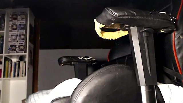 LapijARG7 online show from 21, 11, 2025