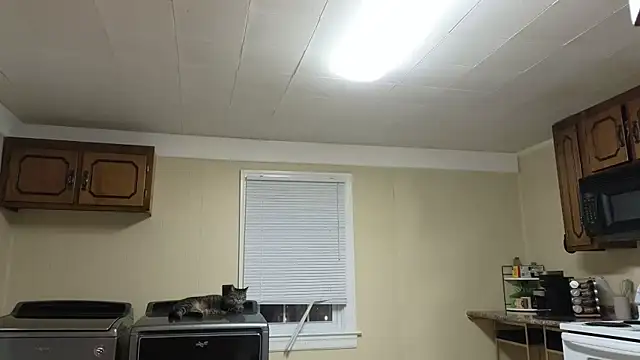 Snapshot of sexylilly69 chatting on 13, 10, 2025 sexylilly69 online show from 13, 10, 2025