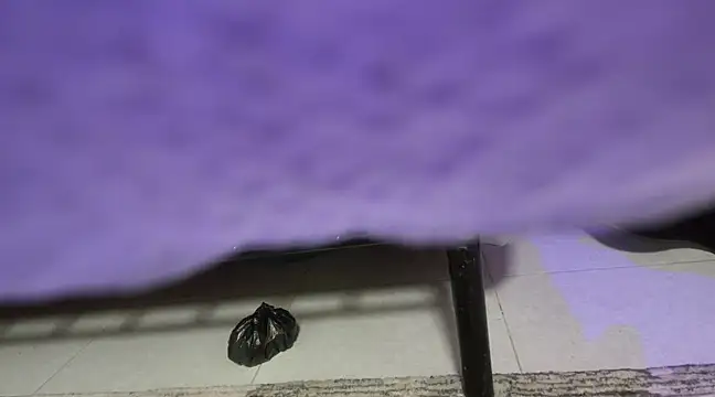 sweet-greedy online show from 6, 2, 2025