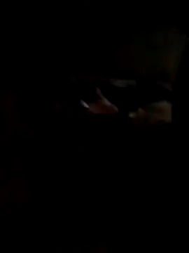 Hedygostozin online show from 14, 3, 2026