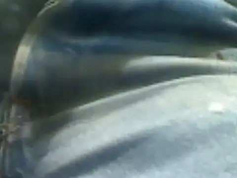 markluvskitty online show from 7, 2, 2025