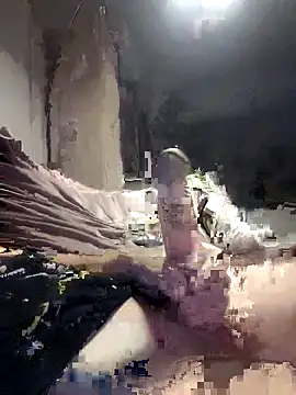 Snapshot of Bi-Sunny chatting on 11, 10, 2025 Bi-Sunny online show from 11, 10, 2025