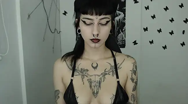 Snapshot of n0sferatus__ chatting on 14, 2, 2025 n0sferatus online show from 14, 2, 2025