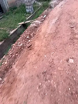 Snapshot of Black-mamba-madingo chatting on 10, 9, 2025 Black-mamba-madingo online show from 10, 9, 2025