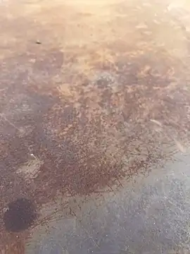 Snapshot of Black-mamba-madingo chatting on 28, 9, 2025 Black-mamba-madingo online show from 28, 9, 2025