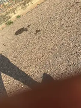 Snapshot of Black-mamba-madingo chatting on 30, 9, 2025 Black-mamba-madingo online show from 30, 9, 2025