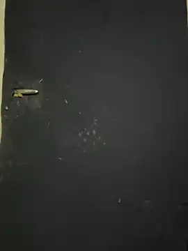 Snapshot of Black-mamba-madingo chatting on 9, 10, 2025 Black-mamba-madingo online show from 9, 10, 2025