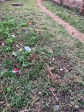 Snapshot of Black-mamba-madingo chatting on 29, 10, 2025 Black-mamba-madingo online show from 29, 10, 2025