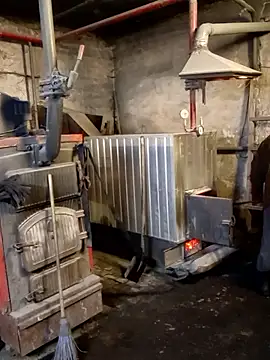 MityaXLoves online show from 11, 1, 2026