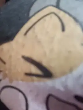 karlamorris  online show from 1, 11, 2025