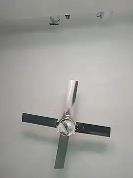 nicedick bro online show from 6, 10, 2025