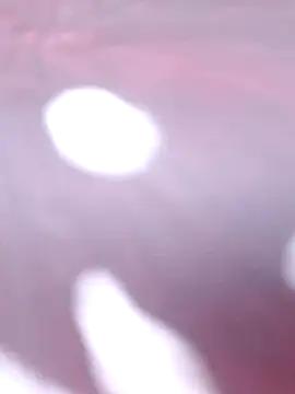 Snapshot of Priya_Bong chatting on 16, 12, 2025 Priya Bong online show from 16, 12, 2025