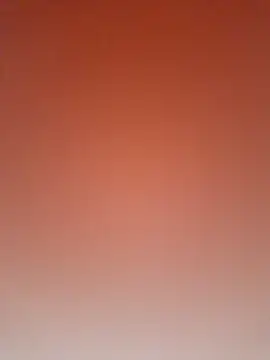 Snapshot of Priya_Bong chatting on 3, 2, 2026 Priya Bong online show from 3, 2, 2026