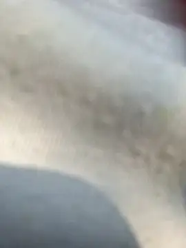 Snapshot of Priya_Bong chatting on 25, 2, 2026 Priya Bong online show from 25, 2, 2026