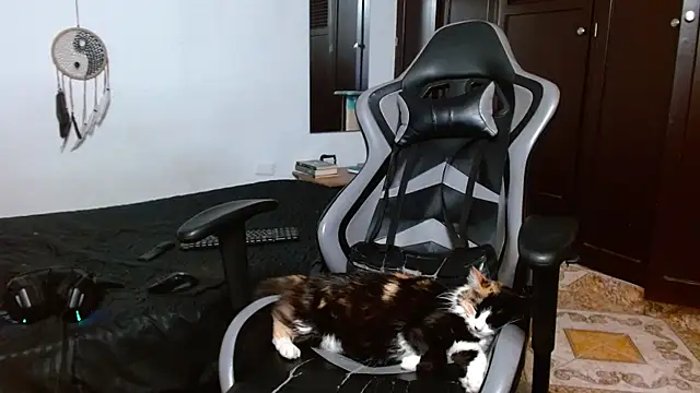 Snapshot of aaron_blug chatting on 17, 1, 2025 aaron blug online show from 17, 1, 2025