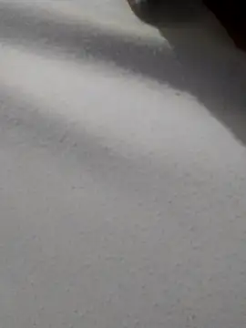 Snapshot of _Miaaleon chatting on 16, 11, 2025 Miaaleon online show from 16, 11, 2025