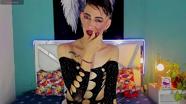 dominic thailor online show from 4, 3, 2025