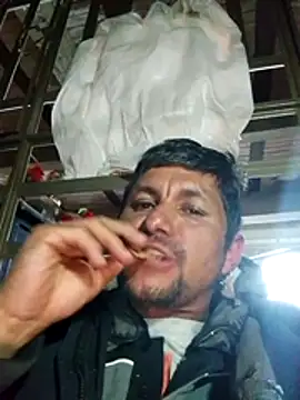 TattyFoxglove online show from 28, 2, 2026