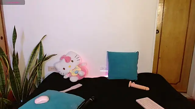 Snapshot of kittycatw chatting on 17, 12, 2025 kittycatw online show from 17, 12, 2025