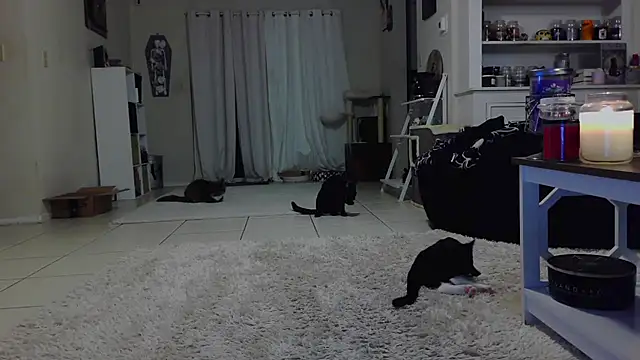 Snapshot of CrystalLakeXO chatting on 19, 10, 2025 CrystalLakeXO online show from 19, 10, 2025