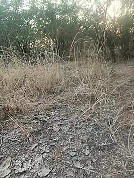 lovesuna online show from 20, 12, 2025