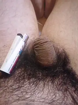 Dortmund69nn online show from 24, 4, 2026