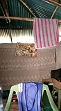 Snapshot of Brian_johns chatting on 31, 12, 2024 Brian johns online show from 31, 12, 2024