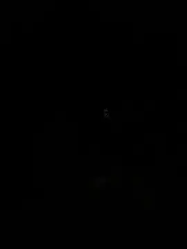 Snapshot of emea4 chatting on 19, 12, 2025 emea4 online show from 19, 12, 2025