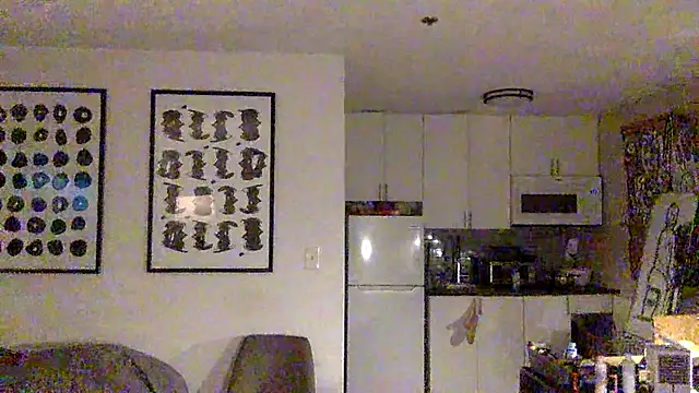 TheOnlyTwinTowers online show from 13, 4, 2026