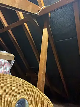 pervy devil online show from 1, 10, 2025