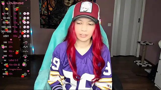 Snapshot of Project_hisoka chatting on 30, 12, 2024 Project hisoka online show from 30, 12, 2024