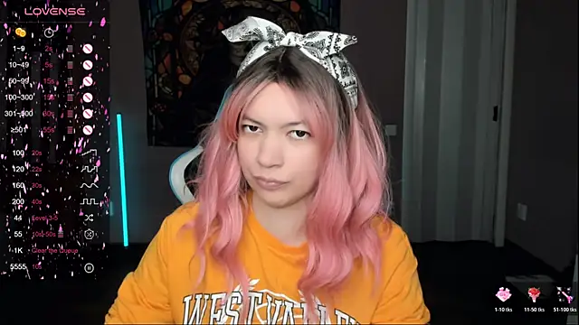 Snapshot of Project_hisoka chatting on 14, 11, 2025 Project hisoka online show from 14, 11, 2025