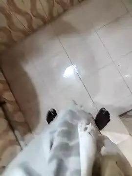 bas1cooks online show from 22, 12, 2024