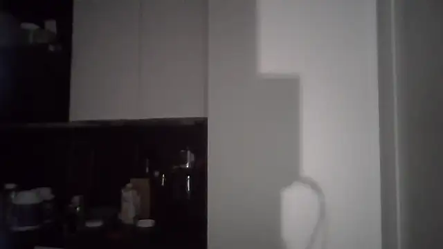 penzler86 online show from 6, 3, 2026