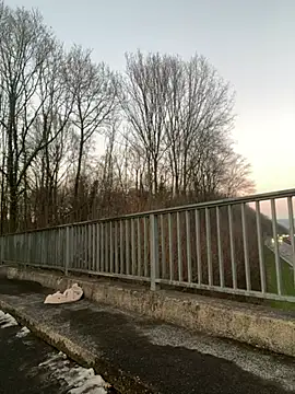 NickyGold Official online show from 18, 1, 2025