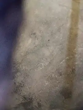 Yasha 14C Creator online show from 18, 10, 2025